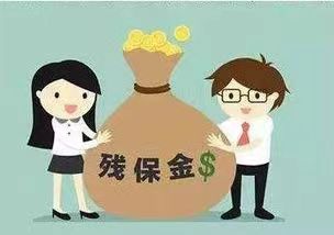 殘保金優化：企業社會責任與成本效益的雙贏策略